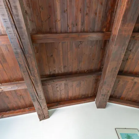 Teodorina - By Searly *