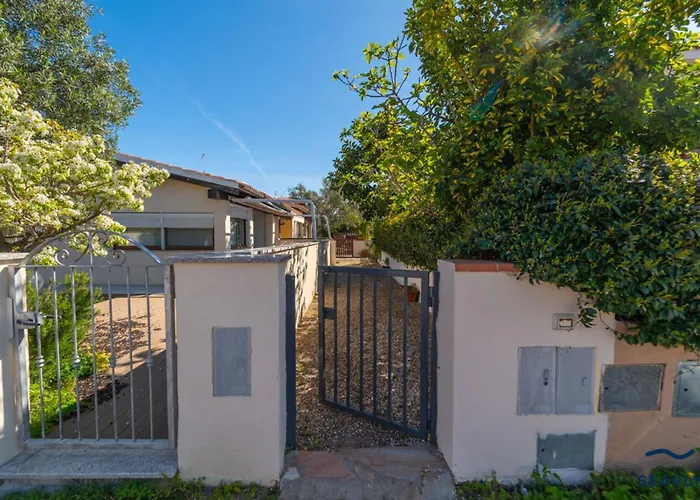 Teodorina - By Searly *