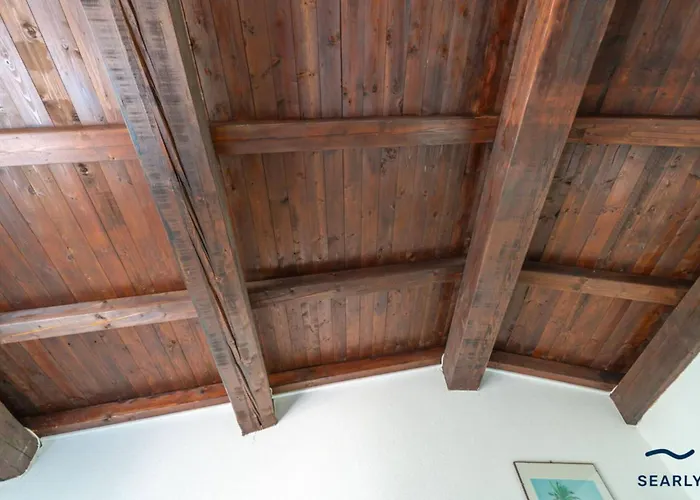 Teodorina - By Searly *